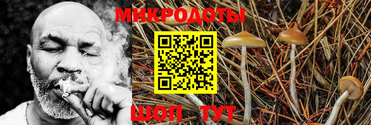 Севастополь  Псилоцибиновые грибы мицелий  Псилоцибиновые грибы Psilocybe  Вход с VPN 